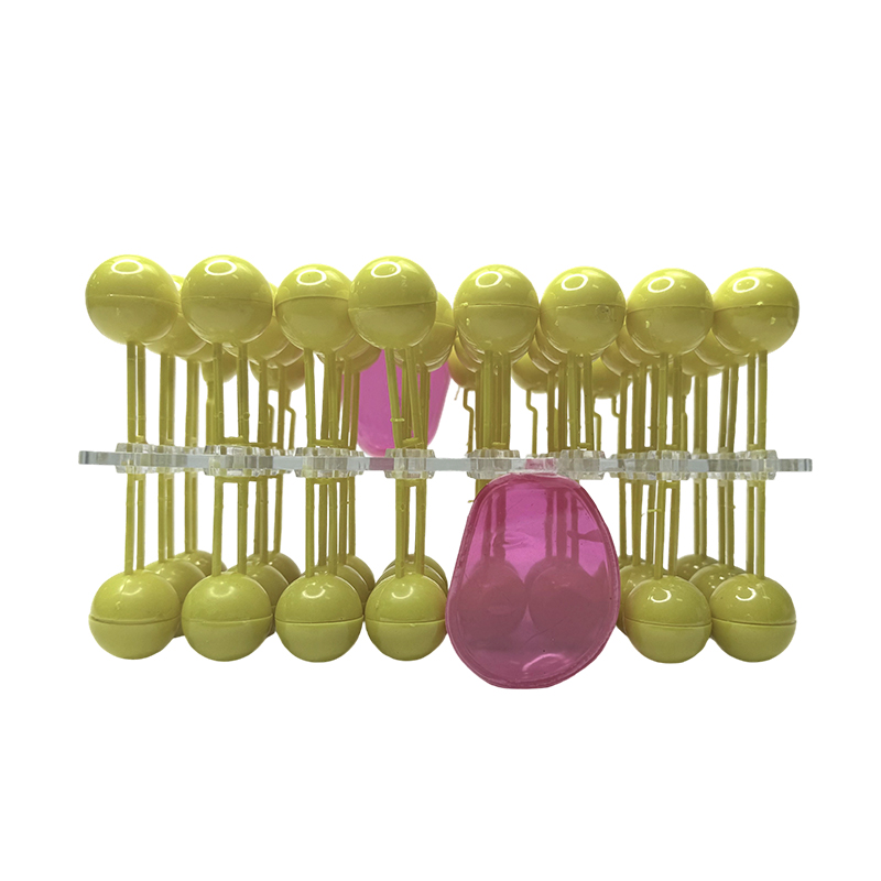 Zellmembranstruktur-Anatomiemodell, Flussmosaikkomponente, biologische Lehre, Demonstrationsausrüstung, Wissenschaft
