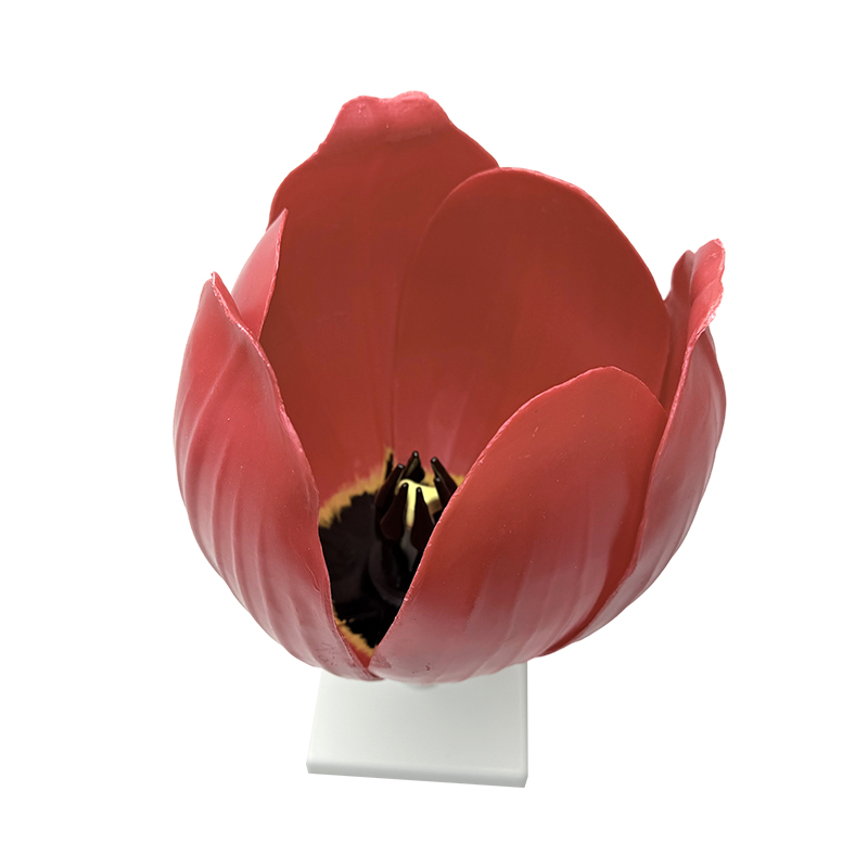 Schulunterricht Yujin duftendes Blumenmodell