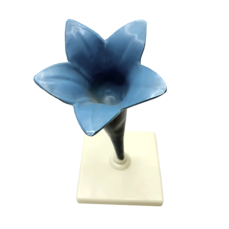 Schulunterricht Yujin duftendes Blumenmodell