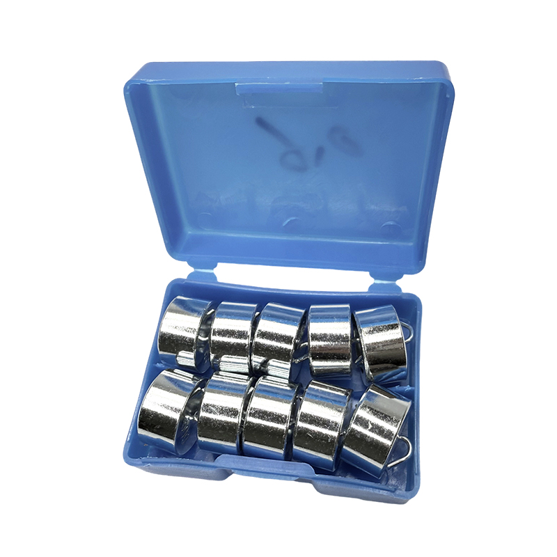 Pädagogischer Hakengewichtssatz 50 g x 10 Stück/Schulphysik-Laborinstrument, Wissenschaftsexperiment und Lehrset