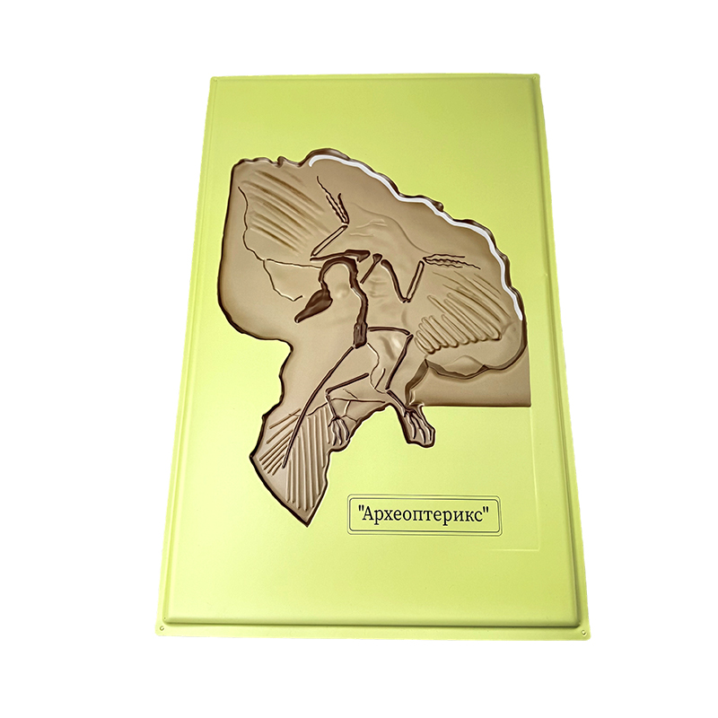 Reliefmodell des Archaeopteryx