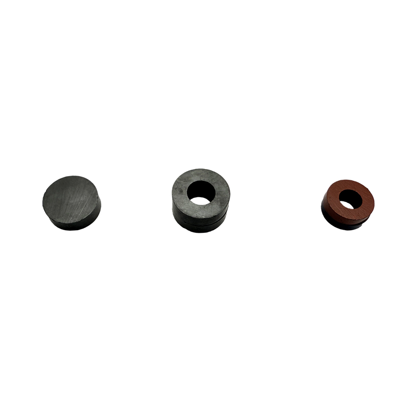 Blauer roter Nordpol-Südpol-Ringmagnet, wissenschaftlicher Ferritmagnet, Lehrmittel, pädagogischer Ringmagnet für das Physiklernen